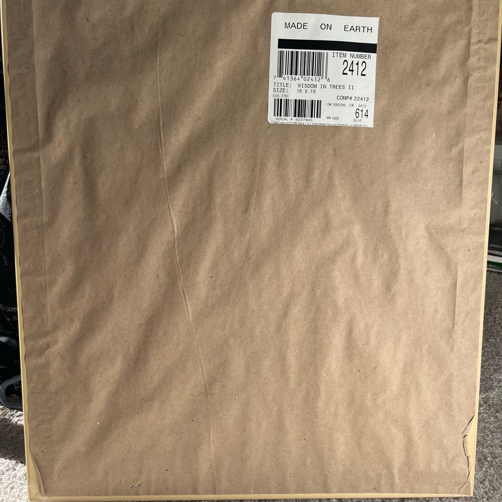 Owl art in silver/bronze frame